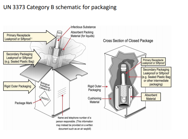 Covid 19 Packaging And Shipping Environmental Health Safety