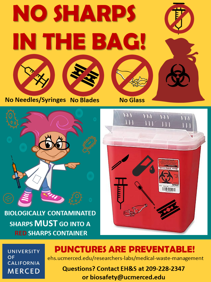 Preparing Medical Waste: What Goes in the Red Biohazard Bag?